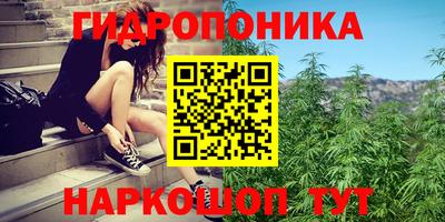 кокс Краснодар