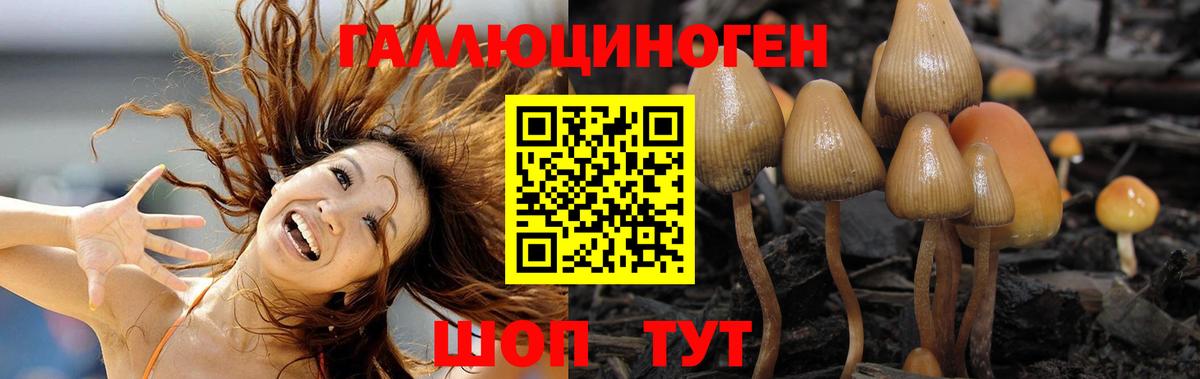 Изобильный  Галлюциногенные грибы Cubensis  Вход с VPN  Псилоцибиновые грибы MAGIC MUSHROOMS 
